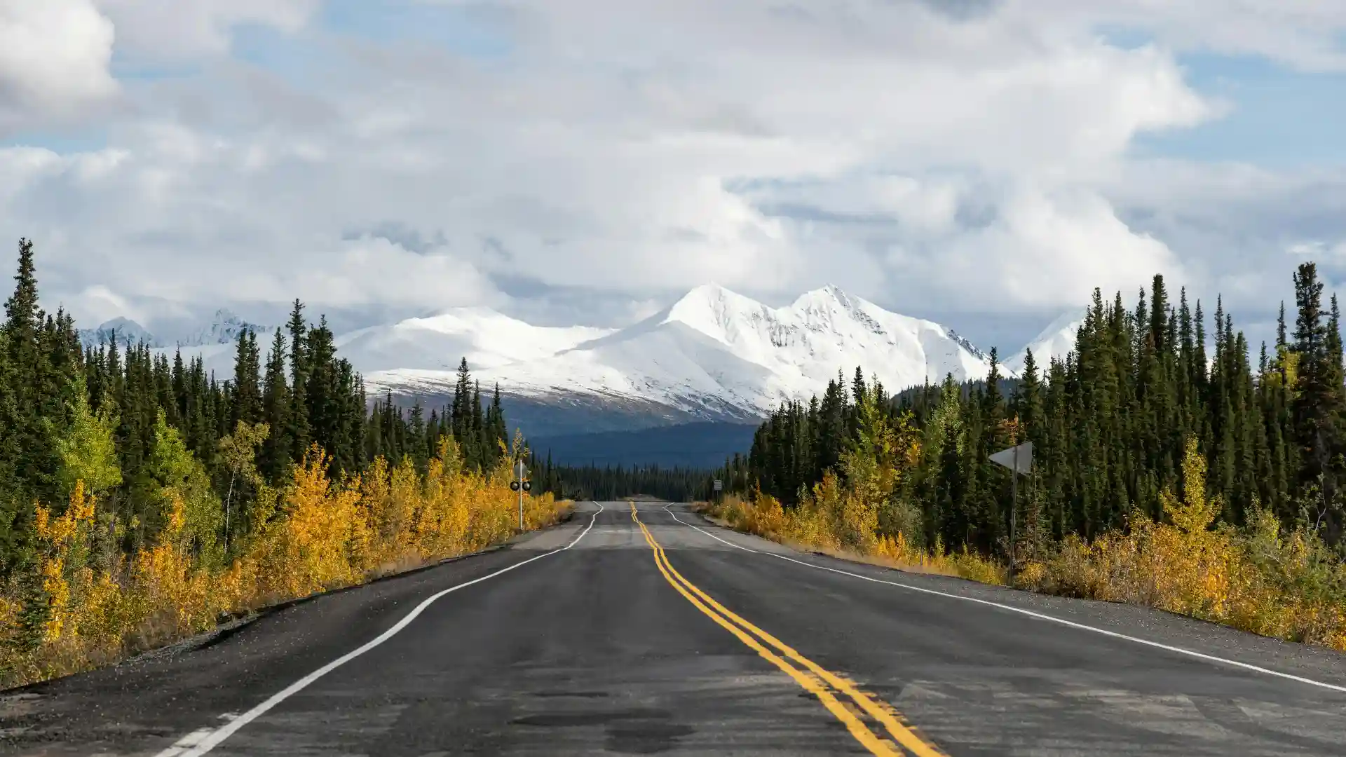 Road view leading up to the Alaskan snow mountains through the greenery