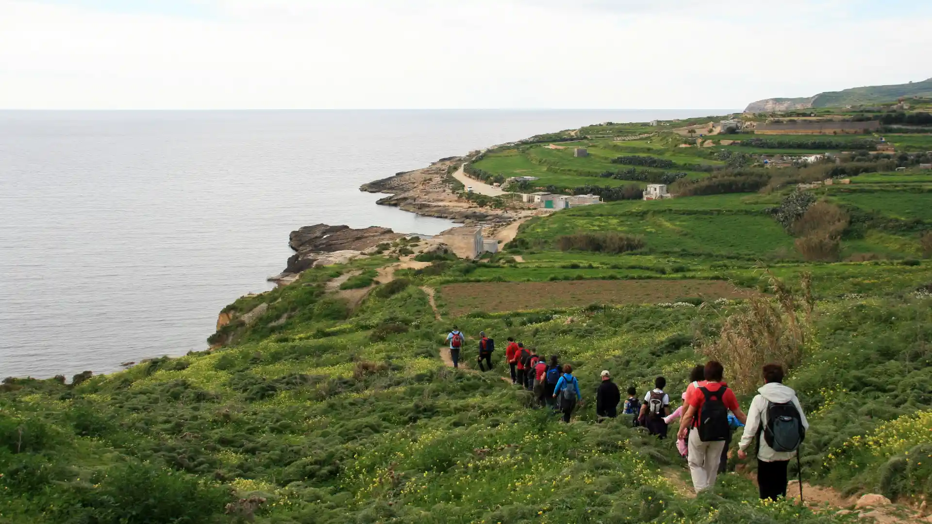 Cruise & Day Trip Hotspots