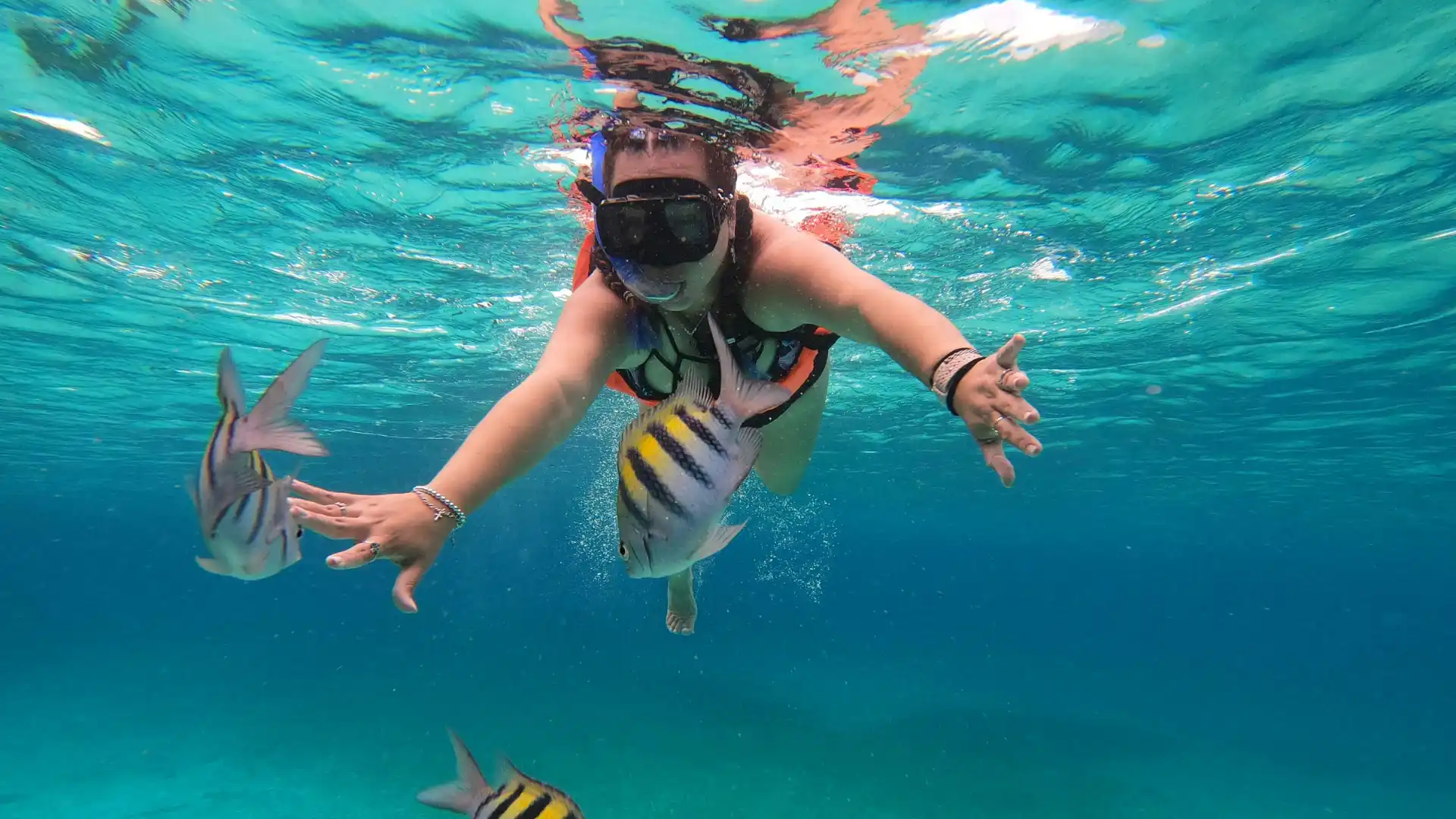 Underwater Adventures & Marine Life