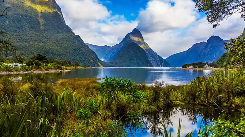 Australia & New Zealand