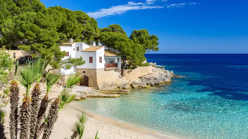 Mediterranean