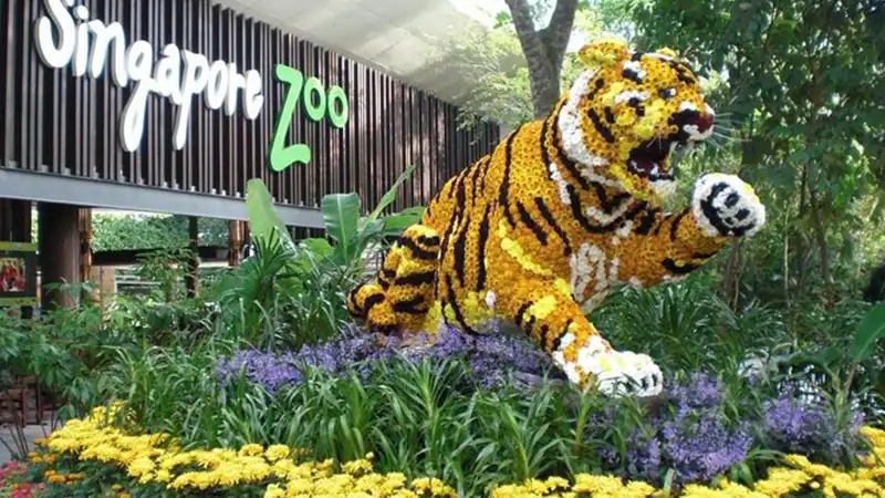 Day 4: Singapore Exploration: Singapore zoo, Bird paradise