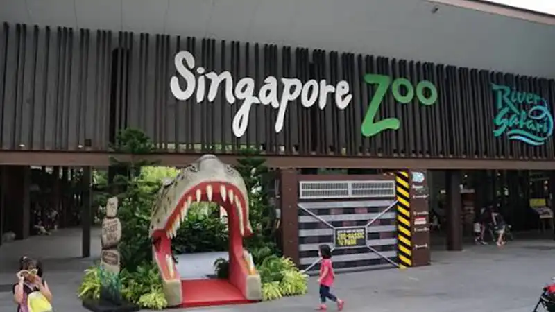 Day 5: Explore Singapore City + Wildlife experiences