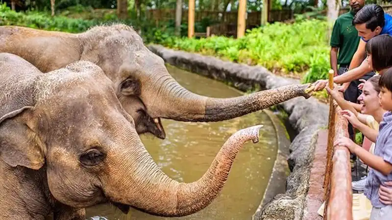 Day 4: Singapore Sightseeing + Wildlife Experience